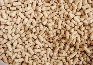 选择玉米秸秆饲料颗粒机厂家不能忽略这几个问题