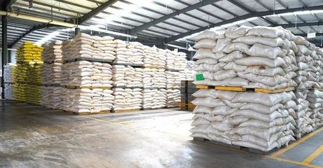 奋战“开门红” | 随州正大 产销两旺干劲足，跑出新春“加速度”